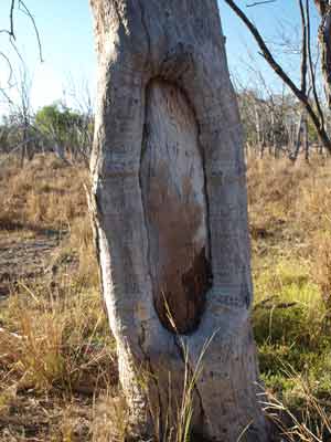 Culgoa NP