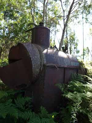 Daisy Plains Steam Engine
