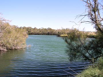 Dalhousie Springs