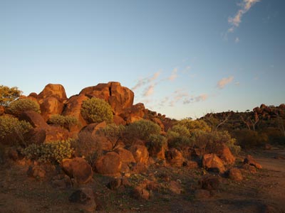 Dead Horse Gully
