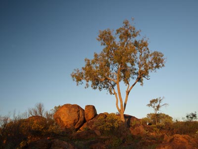 Dead Horse Gully
