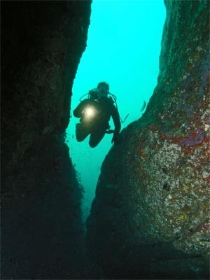Dee Why Wide Cave