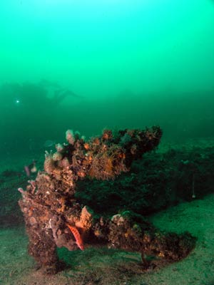 Deep Wall Anchor