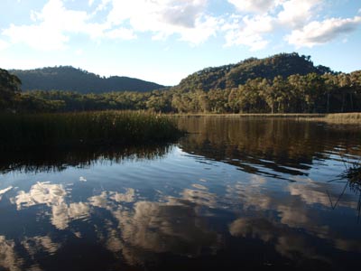 Dunns Swamp