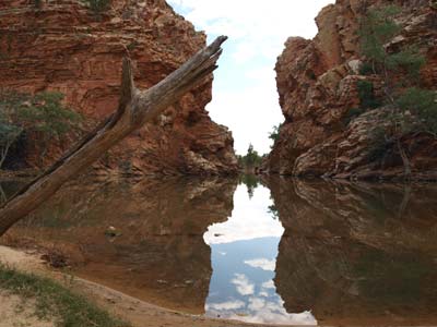 Ellery Creek big Hole