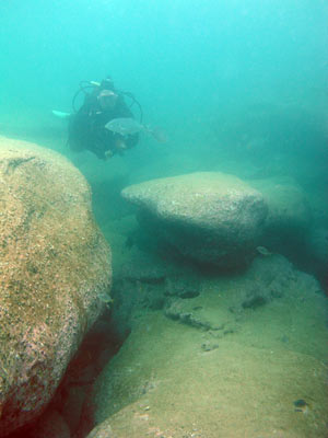 Fairy Bower reef