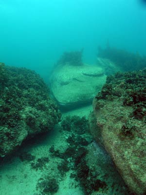 Fairy Bower reef