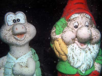 Fly Point Gnomes