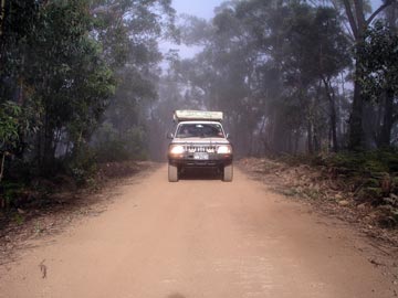 Foggy Prado