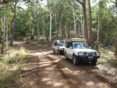 Forest Road