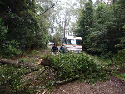 Hastings Forest Way