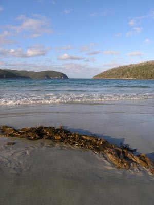 Fortescue Bay