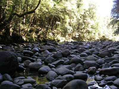 Franklin River