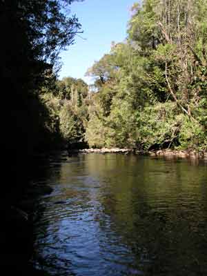 Franklin River