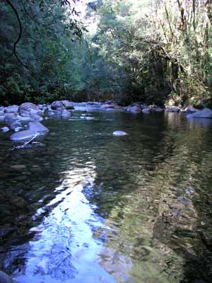 Franklin River