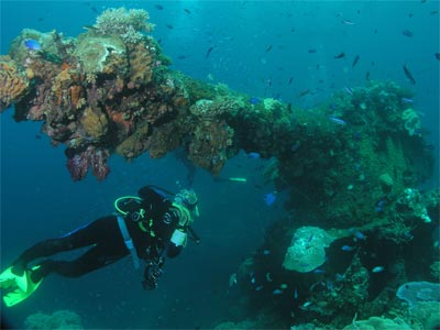 Fujikawa Maru bow gun