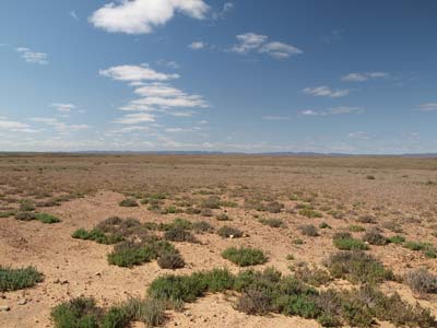 Gammon Ranges