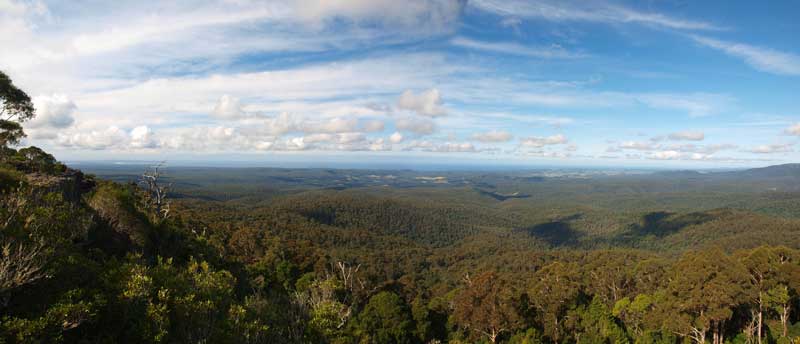 George Boyd Lookout