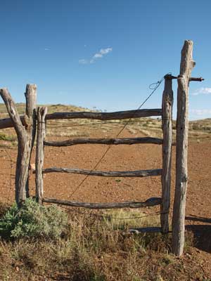 Golden Gully
