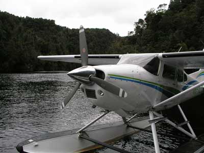 On the Gordon River