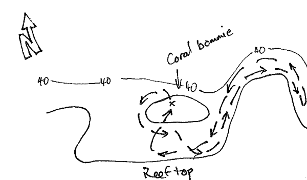Gorgonia Hole