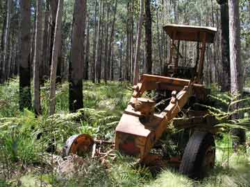 Dead Grader