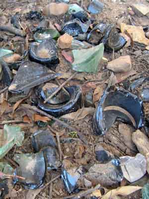 Broken bottles at Grant
