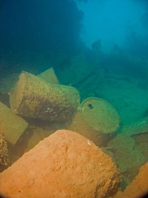 Hanakawa Maru