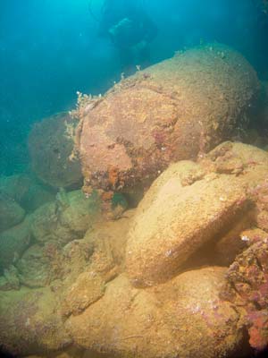 Hanakawa Maru