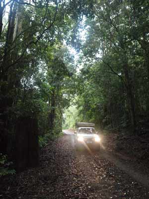 Myall Creek Camping Area