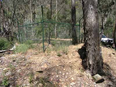 A mine at Hogtown