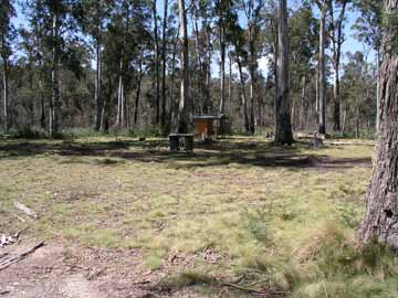 Horse Swamp Camping Area