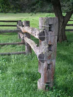 Horse yards