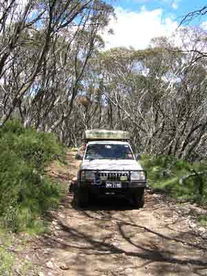 Howqua Gap Track