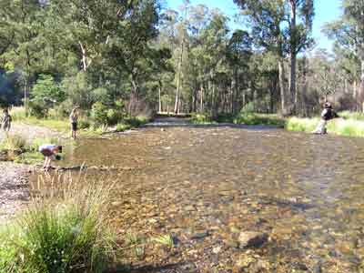Howqua River