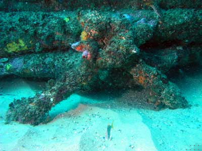 Anchor
