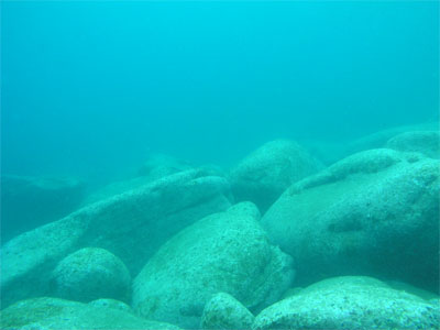 Rocks in the shallower area