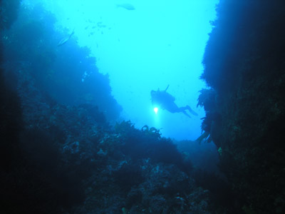 Jans Tunnel