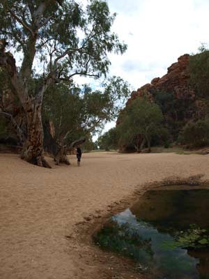 Jessie Gap