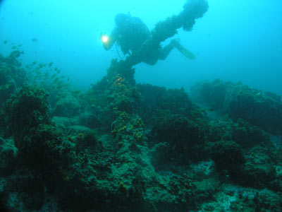 Julian Rocks Anchor