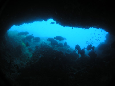 Cod Hole