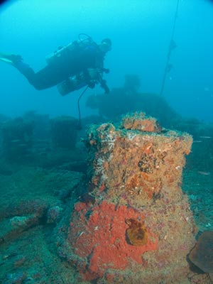 Bow capstan