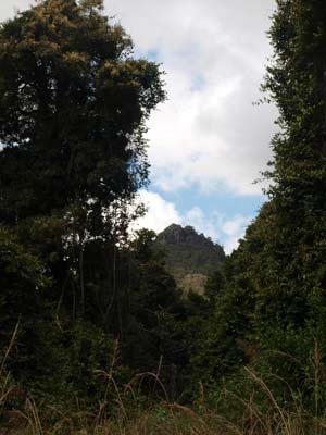 Kemps Pinnacle