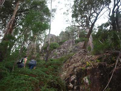 Kemps Pinnacle