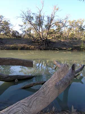 Darling River