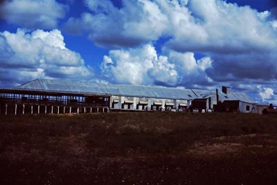 Kinchega Shearing Shed