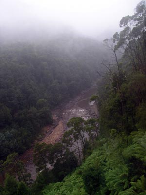 King River Gorge