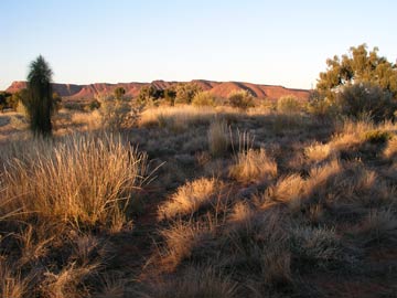 Sunset at Kings Canyon