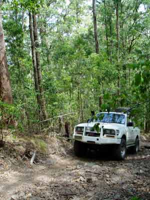 Steep Hill