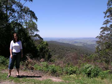 Knobs Lookout